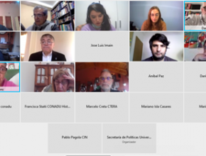 Reunión virtual de la Comisión de Docentes Preuniversitarios